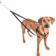 2 Hounds Design Freedom No-Pull Dog Harness & Leash - Silver For Cheap