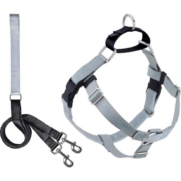 2 Hounds Design Freedom No-Pull Dog Harness & Leash - Silver For Cheap