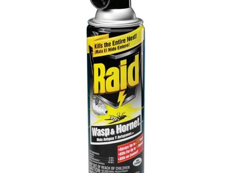 Raid Wasp & Hornet Killer(14 oz.) Hot on Sale