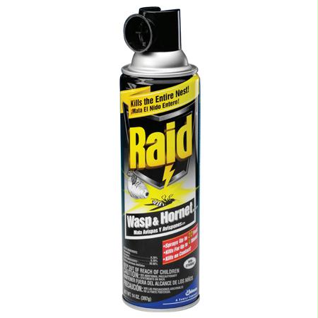 Raid Wasp & Hornet Killer(14 oz.) Hot on Sale