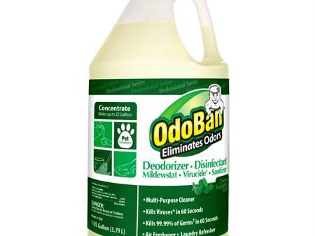 Clean Control OdoBan Deodorizer Disinfectant(Gal.) Online now