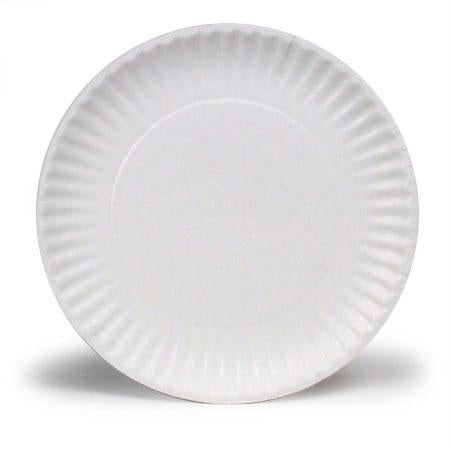 Paper Plates(9 ) Fashion