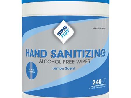 WipesPlus Antibacterial Hand Wipes(240 ct.) Supply