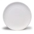 Paper Plates(6 ) on Sale