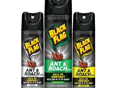 Black Flag Ant & Roach Killer(17.5 oz.) Cheap