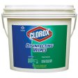 Clorox Disinfecting Wipes(700 ct.) Fashion