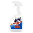 Professional Lysol Basin Tub & Tile Cleaner(32 oz.) Discount